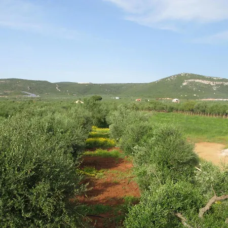 Navarino Seaview Escape - A Breath Away From The Beach Apartment Vromonérion